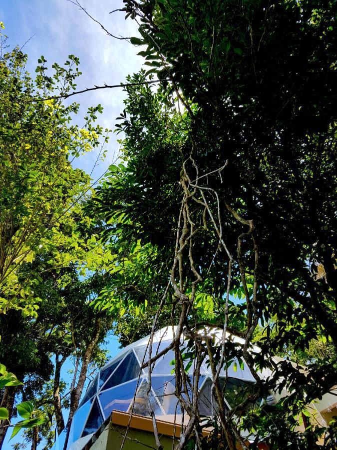 Chira Glamping Resort Monteverde Εξωτερικό φωτογραφία