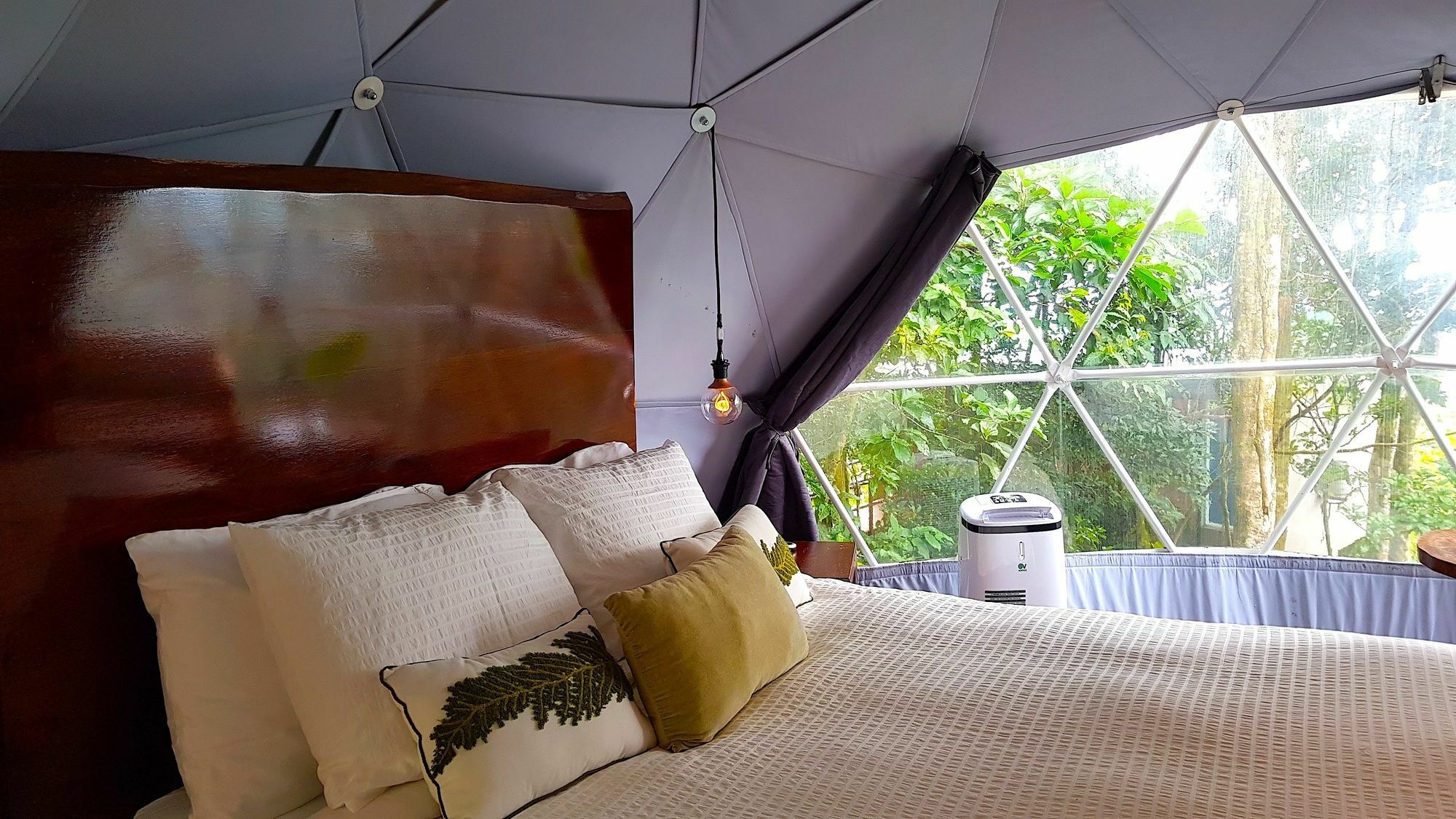 Chira Glamping Resort Monteverde Εξωτερικό φωτογραφία
