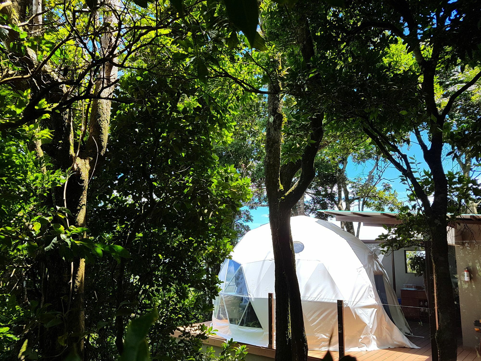 Chira Glamping Resort Monteverde Εξωτερικό φωτογραφία